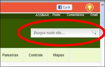 Campo para pesquisas no Divulgar Dinheiro wordpress seo yoast plugin pesquisa páginas