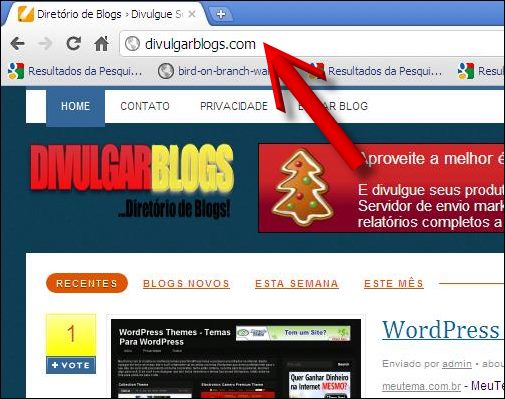 Página inicial do Divulgar Blogs homepage divulgar blogs