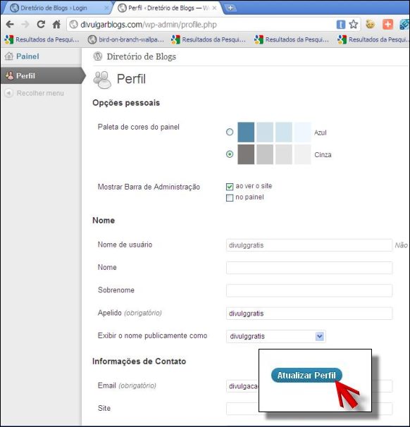 Página de perfil no Divulgar Blogs perfil divulgar blogs