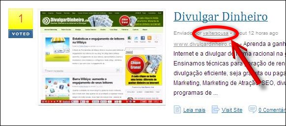 Link para perfil no painel Divulgar Blogs link perfil divulgar blogs