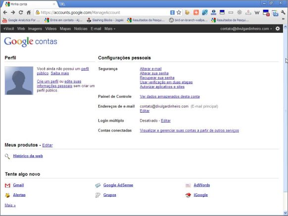 Página inicial de sua conta no Google Contas página inicial homepage google contas