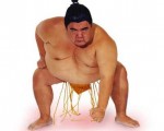 sumo