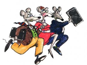 corrida ratos ijumper