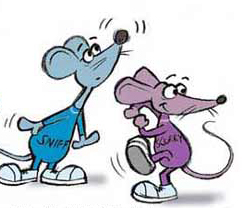 ratinhos - quem_mexeu_no_meu_queijo